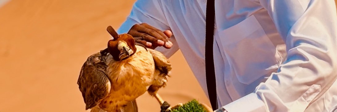 Mohamed Digir banner