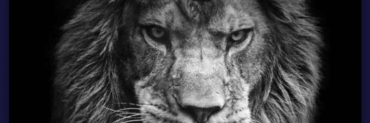 JeremyDeleon76's profile banner image
