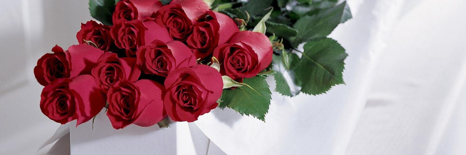 bunga_SEGARKU's profile banner image