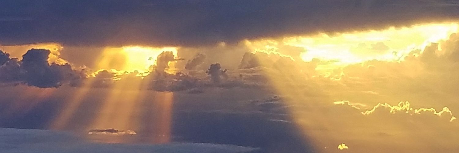 RegoTJ's profile banner image