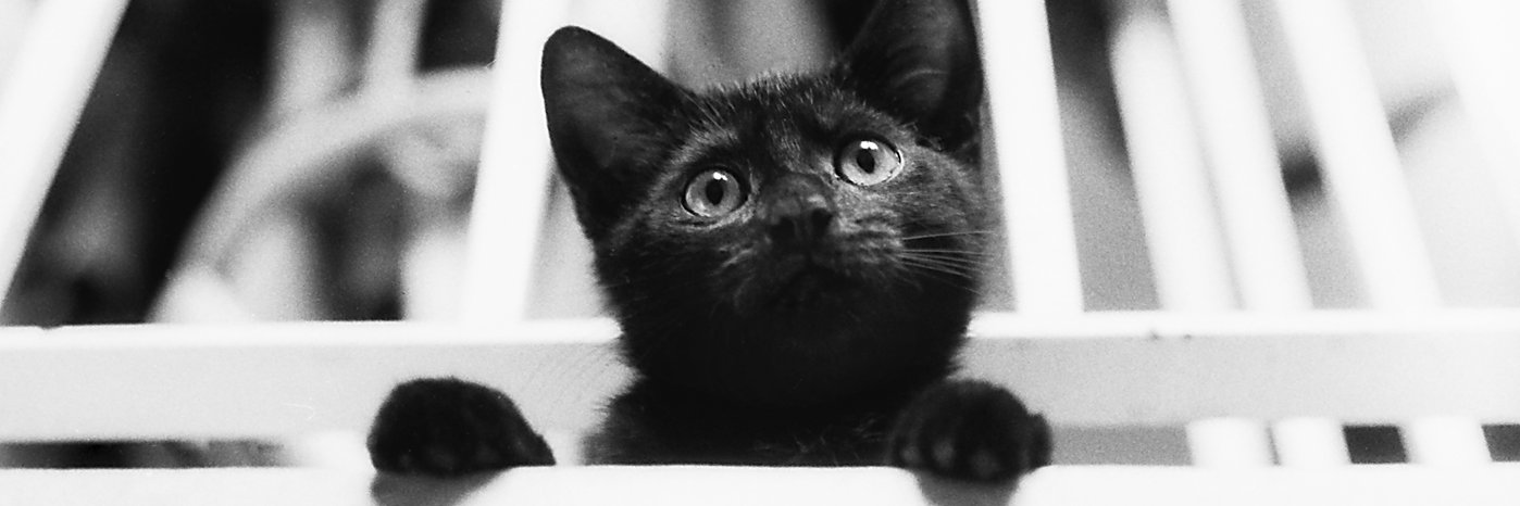 repdek's profile banner image