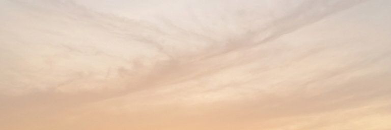siopusit's profile banner image