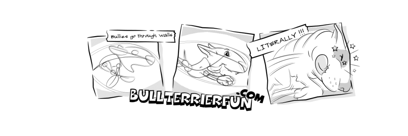 BullTerrierFun's profile banner image