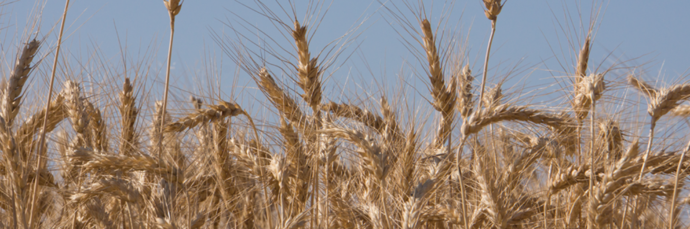 LivingstonFarmBureau banner