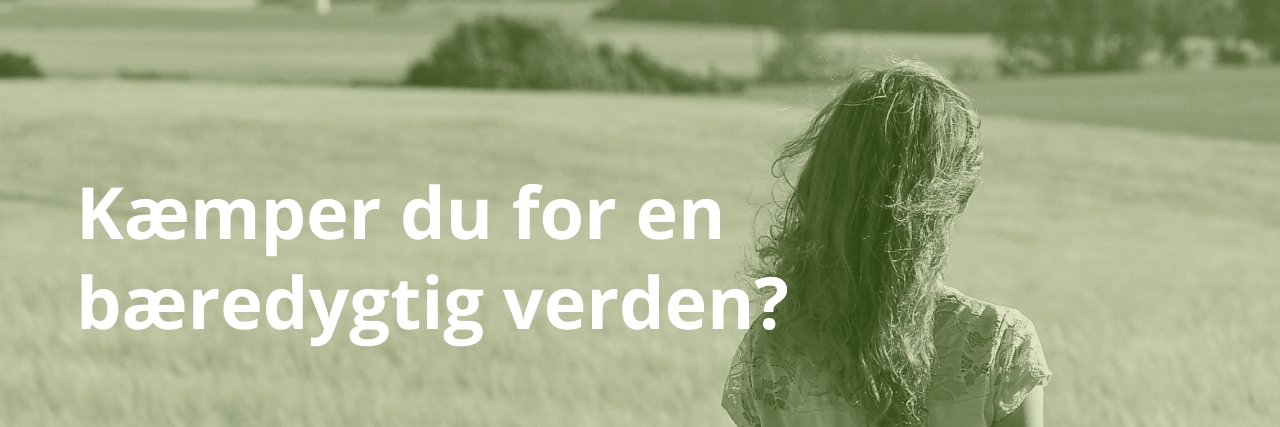 KBlaesbjerg's profile banner image