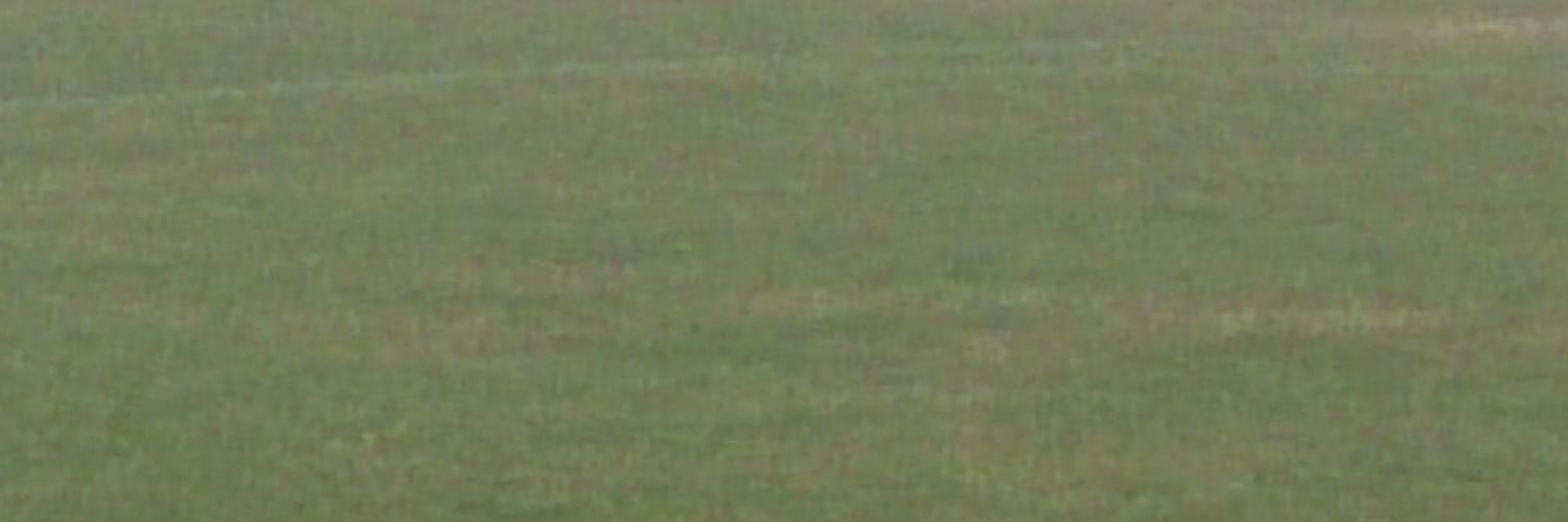 siemprenosotro's profile banner image