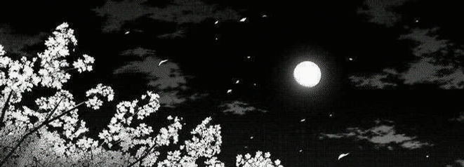 lejh1804's profile banner image