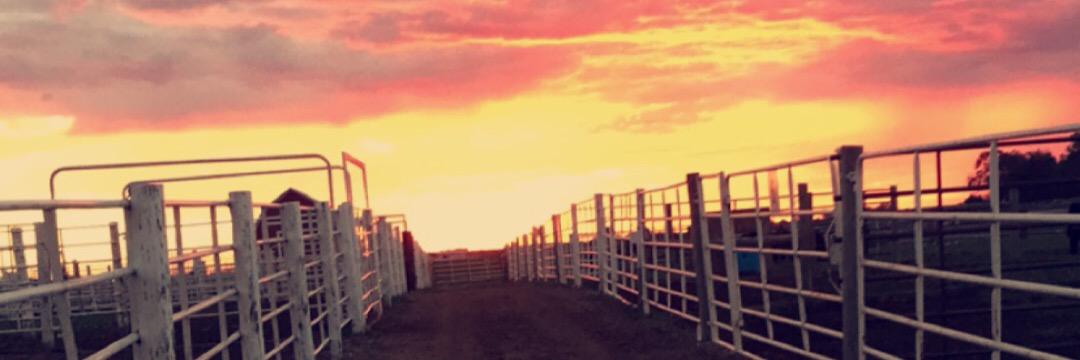 CollinLangston's profile banner image