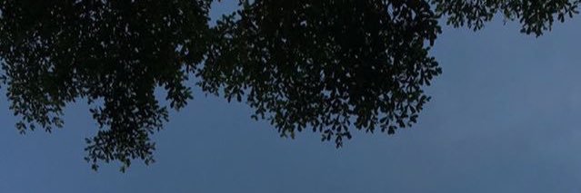thisisnotjaydot's profile banner image