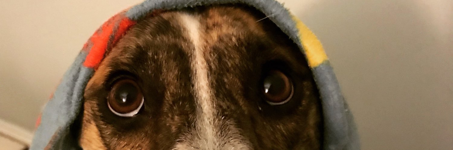 caitstarr's profile banner image