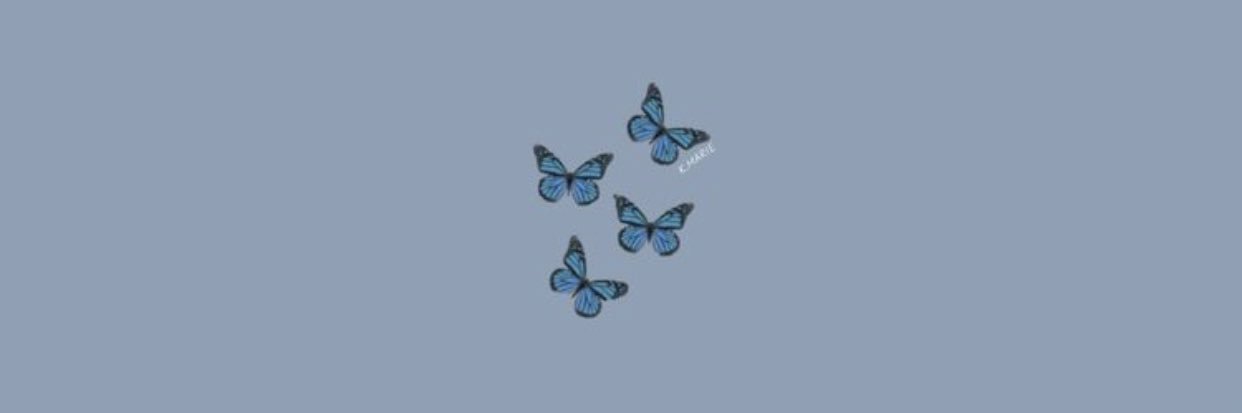 megsowards's profile banner image
