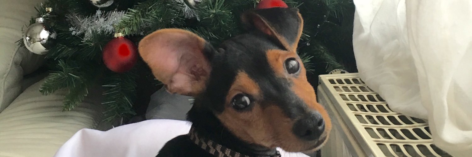 CeRuffo's profile banner image