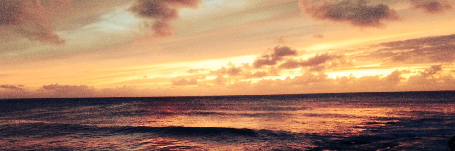 lachmi's profile banner image