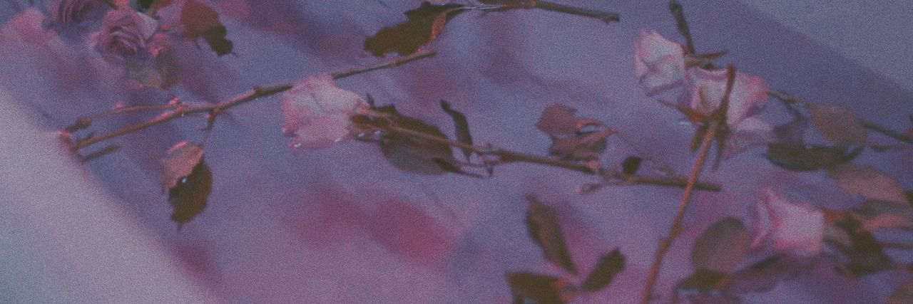 lordsusuu's profile banner image