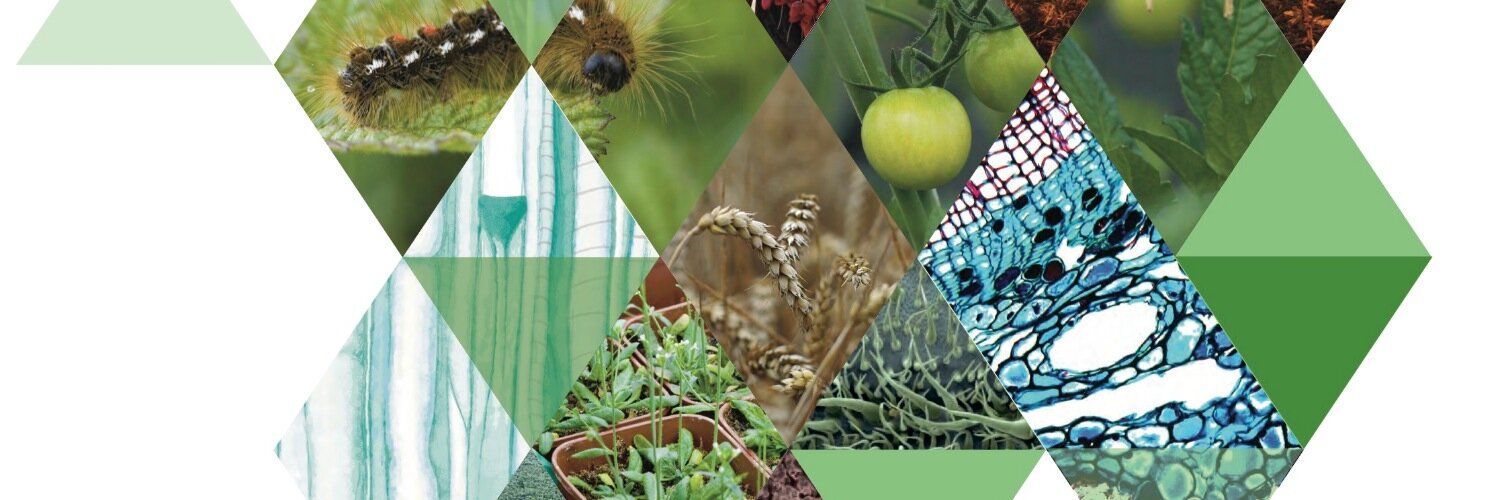 Nature Plants's banner