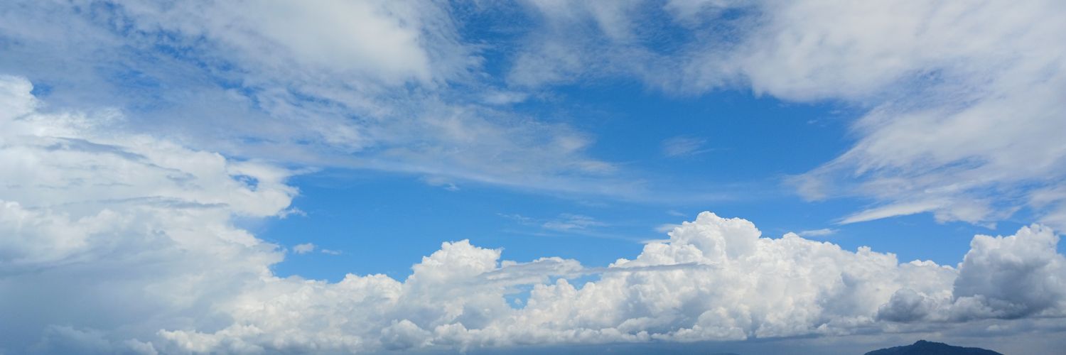 elephant_not_11's profile banner image