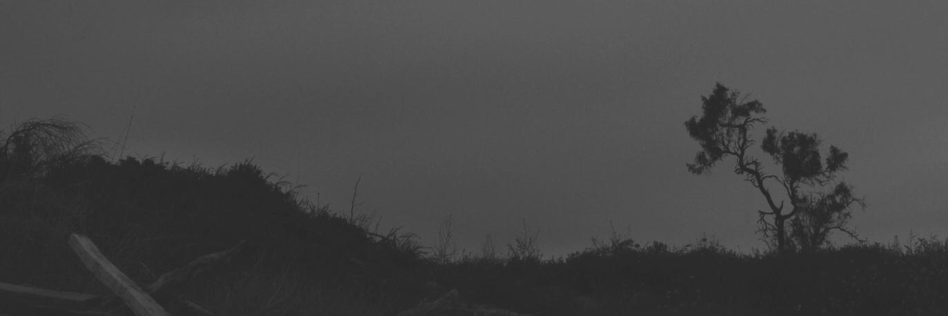 nigul's profile banner image