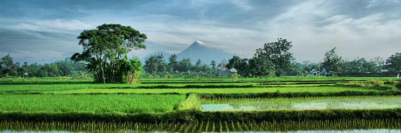 Sleman24Jam's profile banner image