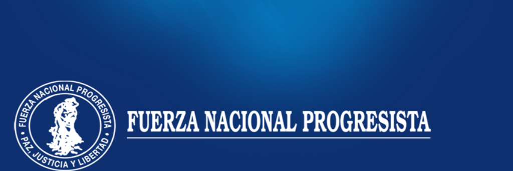 Santo Domingo F.N.P. banner