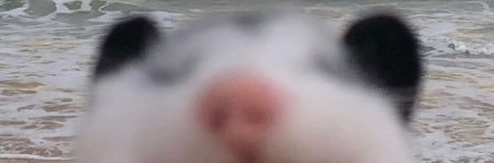 _findmeagain's profile banner image
