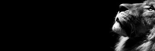 T_gaabrielle's profile banner image
