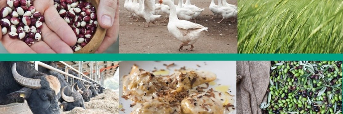 SapereFood's profile banner image