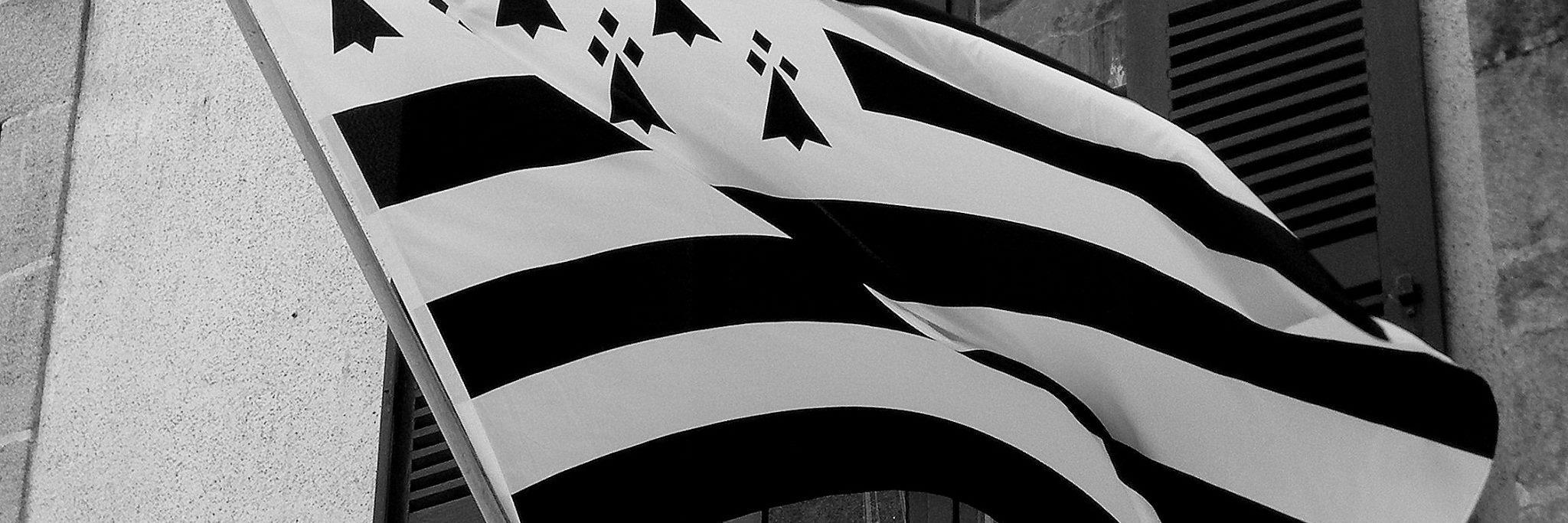 BONIN44510's profile banner image