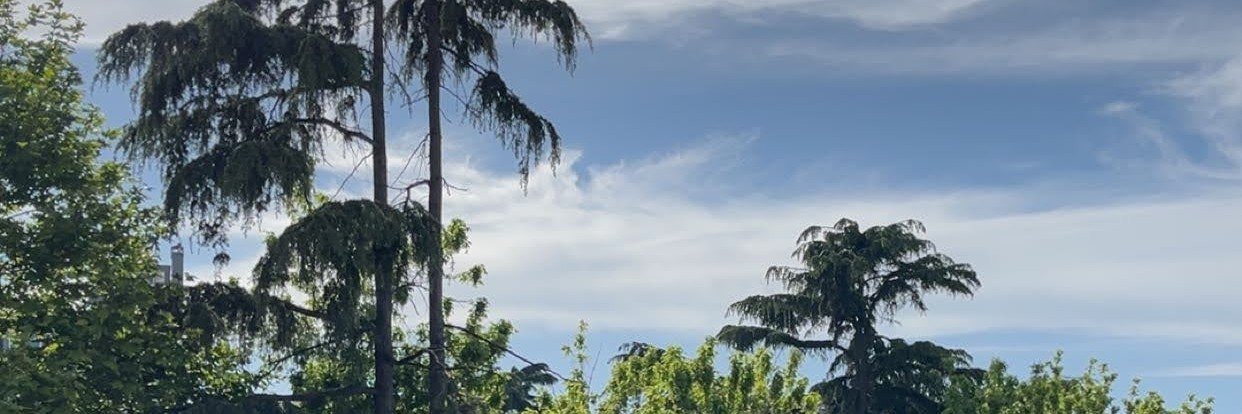 abdalllah_95's profile banner image