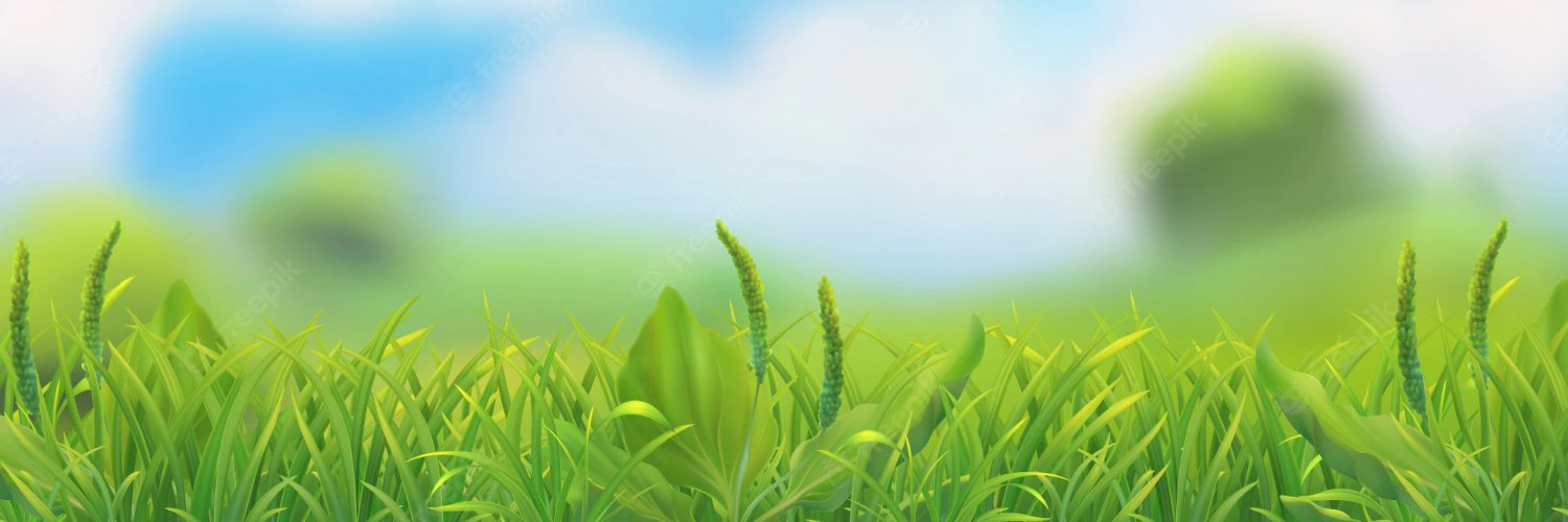 diplpapirolog's profile banner image