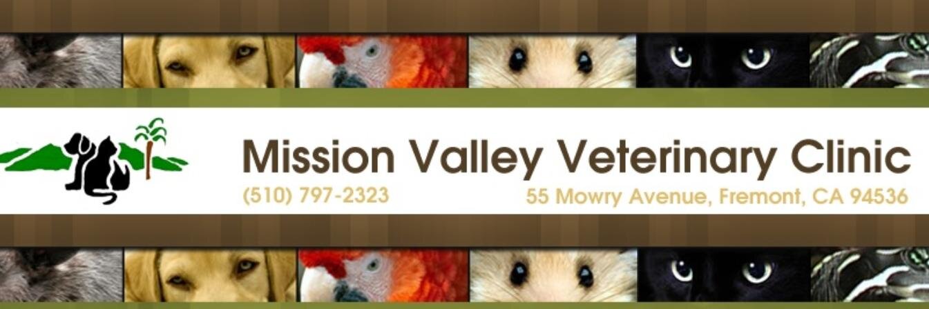 MVVeterinary510's profile banner image