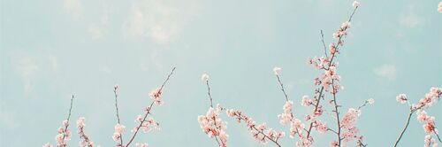 Swag_Oppa's profile banner image