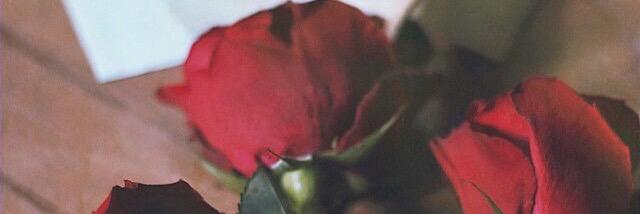sash201456's profile banner image