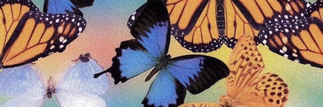 Kaylamordis's profile banner image