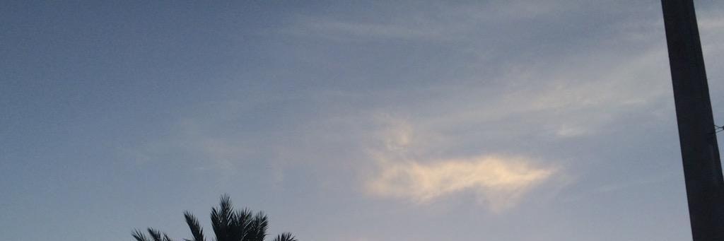 P1NKNY's profile banner image