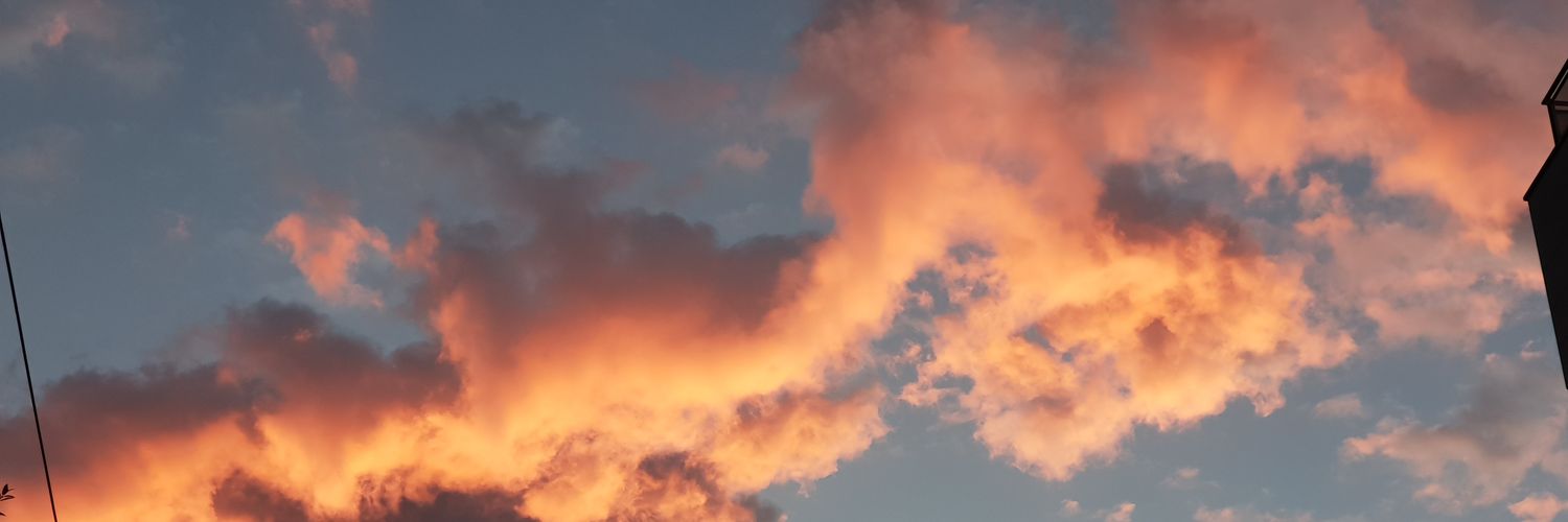 CharlieShim1's profile banner image