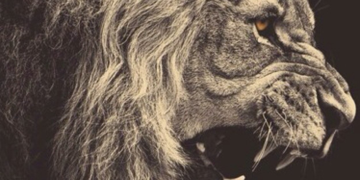 CoachQuick3's profile banner image