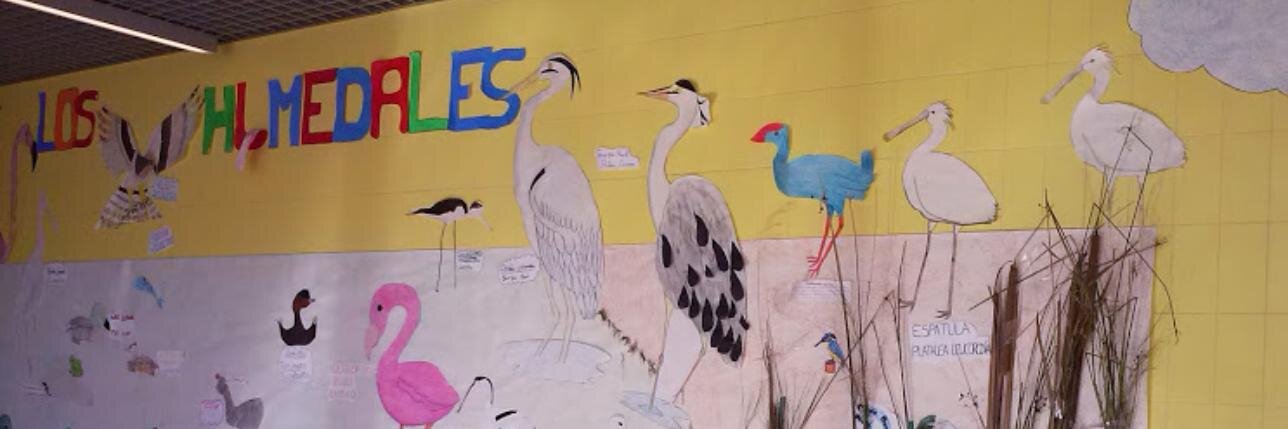 EcoIESChN's profile banner image
