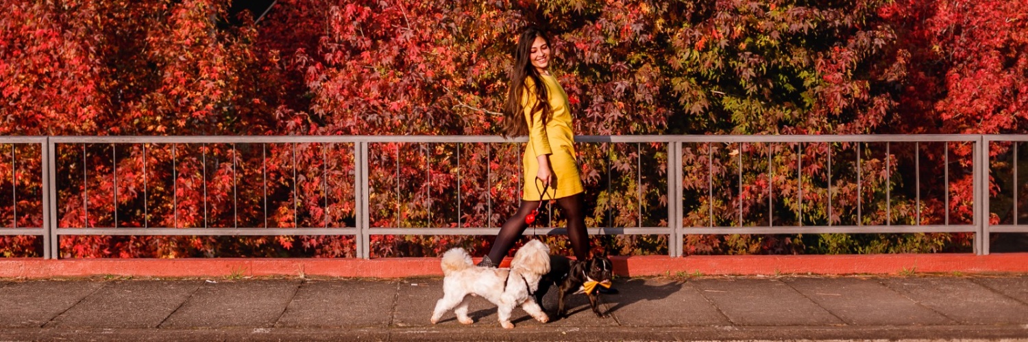 Bruna Slongo banner