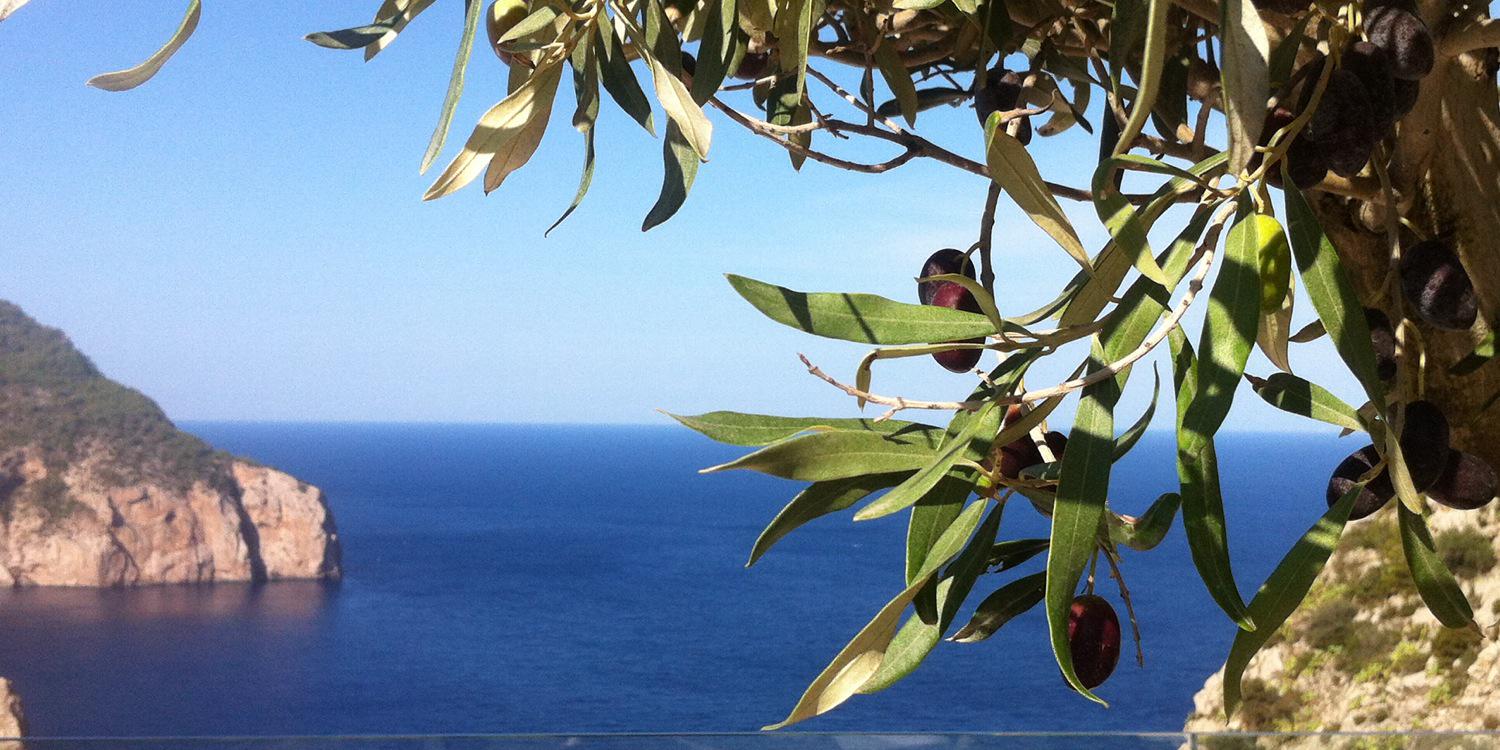 Nita Chocolait banner