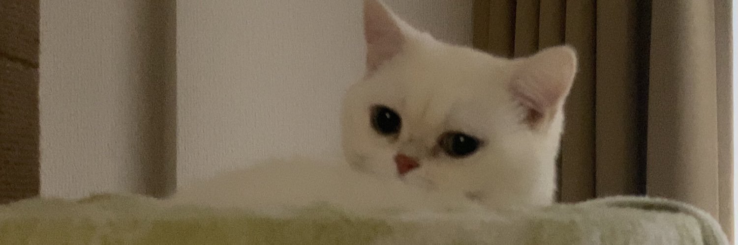 pipopapio's profile banner image