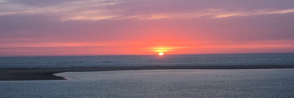 mrnrdwk's profile banner image