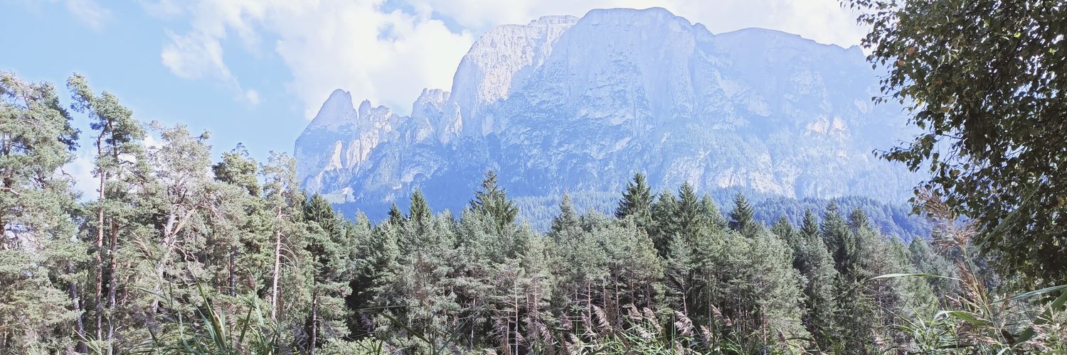 DerGestalter94's profile banner image