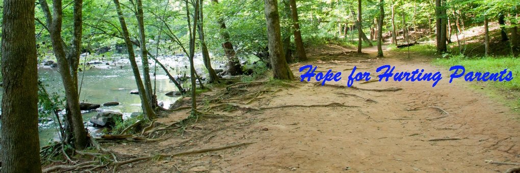 hope_parent's profile banner image