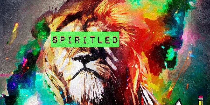 SpiritLedMg's profile banner image