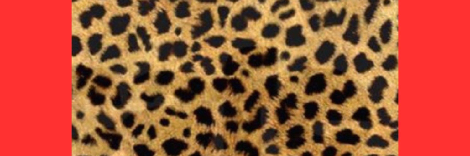 Bombshell9272's profile banner image