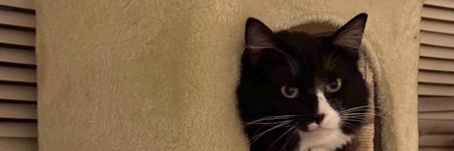 dan banner