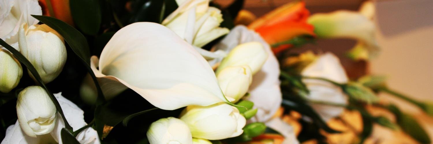 FernTaskerPhoto's profile banner image