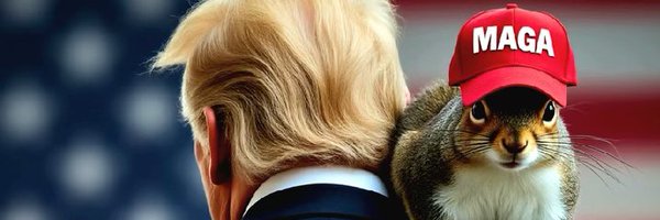 ShannonHooper Profile Banner