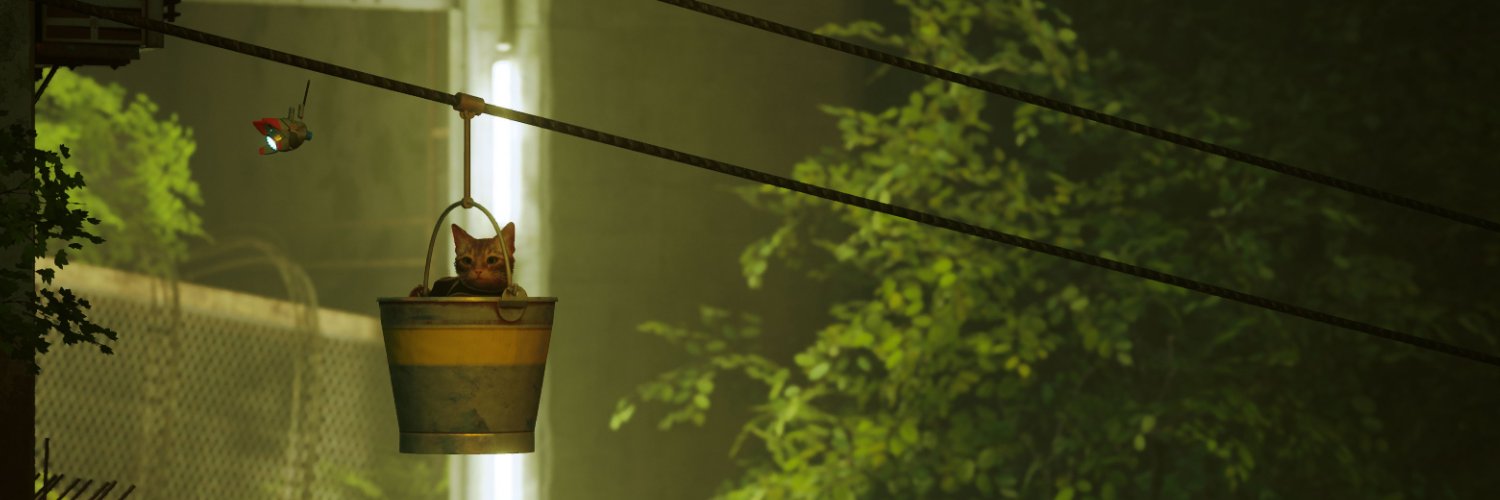 woyaxx's profile banner image