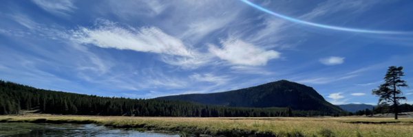 DataManning Profile Banner